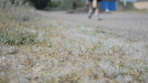Athlete goes to the forest Stock Footage 111669813