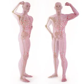 Athlete Stock Illustration