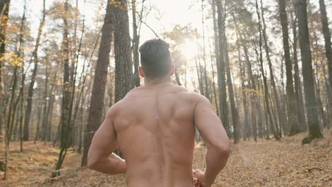 Athlete Jogging In The Forest. Vídeos de archivo 120651141