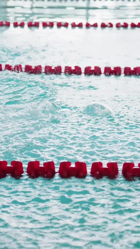 Athlete jumps into pool from numbered starting block, motion crisp, water Stock Footage 346457758