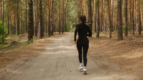 Athlete running on a path in a pine forest Stock Footage 312566704