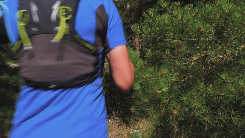 Athlete runs in a pine forest Stockbeeldmateriaal 128814664