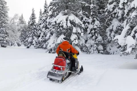 Athlete on a snowmobile. Stock Photos