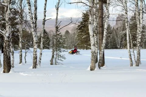 Athlete on a snowmobile. Stock Photos