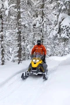 Athlete on a snowmobile. Stock Photos