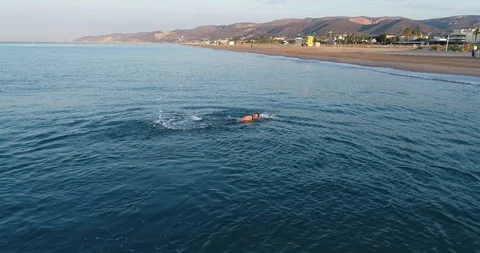 Athlete swimming in the sea Stock Footage 101098325