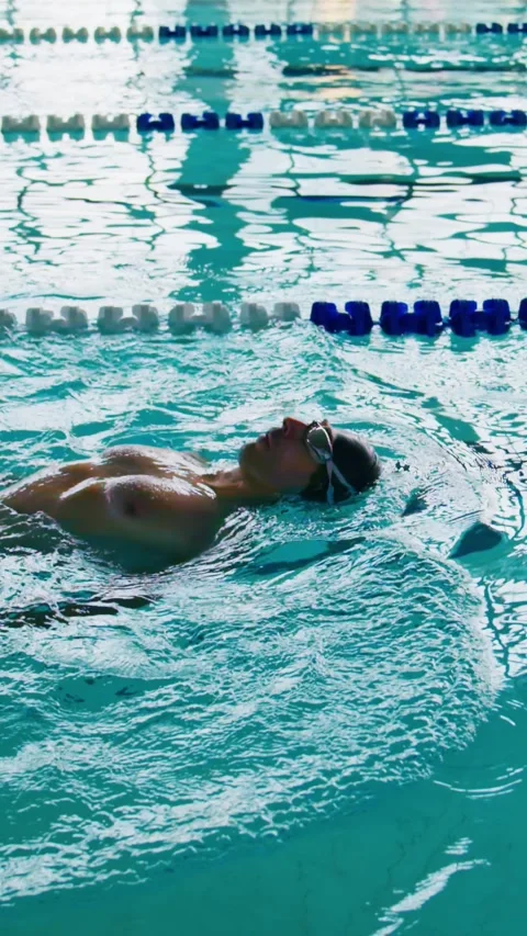 Athlete swims freestyle in clear pool, focused and determined Stock Footage 346458029