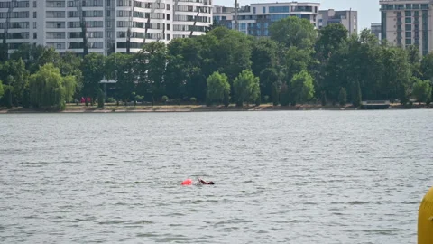 Athlete swims freestyle crawl in open water near city shoreline, marked by Stock Footage 346770276