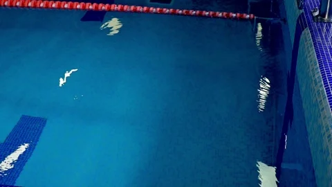 The athlete swims to the side of the pool and makes a turn Stock Footage 91299208