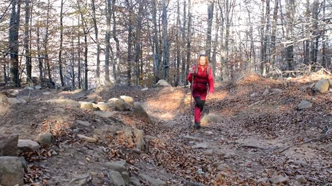  athlete to trekking through forests  Stock Footage 82564871