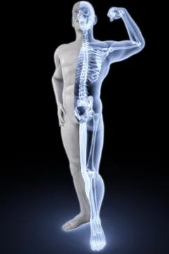 Athlete under xrays Illustrazione stock