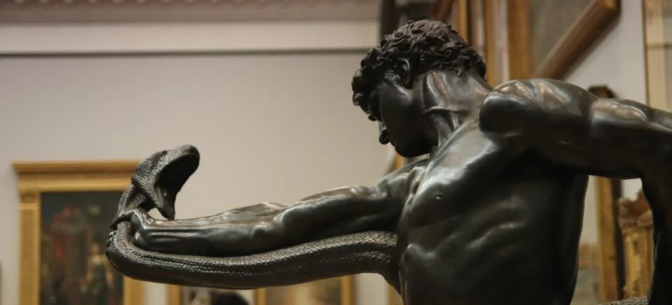 An Athlete Wrestling with a Python Photos