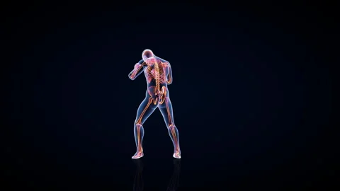 Athlete X-Ray Boxing, Camera Rotating, Seamless Loop Stock-Footage 147675885
