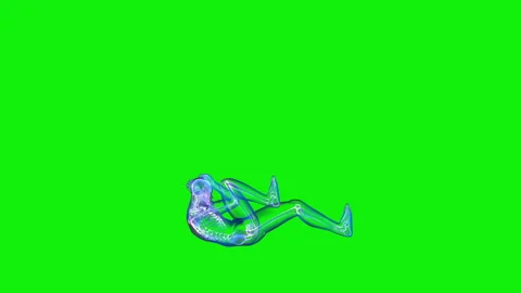 Athlete X-Ray Exercising Bicycle Crunch, Seamless Loop, Green Screen Chromakey Stock Footage 155328579