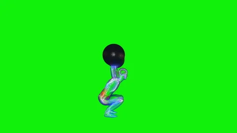 Athlete X-Ray Exercising Heavy Weight Squat, Seamless Loop, Green Screen Chromak Stock Footage 147675828