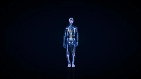 Athlete X-Ray Exercising Jumping Jacks, Seamless Loop, Luma Matte Attached Stock Footage 166609862