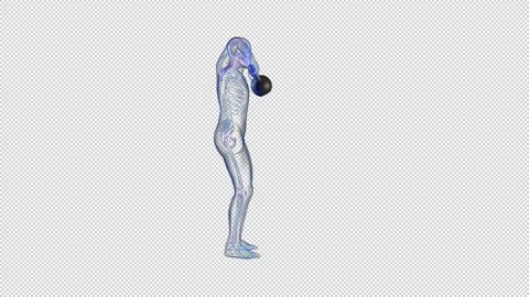 Athlete X-Ray Exercising Kettlebell High Pull, Seamless Loop, Alpha Channel Stock Footage 168796720