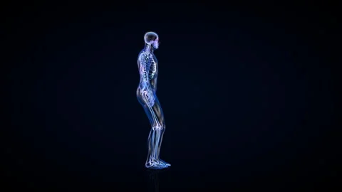Athlete X-Ray Exercising Pistol Squat, Seamless Loop Stock Footage 161252829