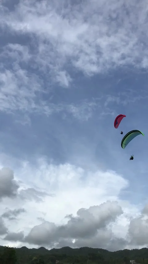 Athletes are doing paragliding practice from a hill above the beach 스톡 동영상 320517814