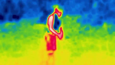 Athletes do group exercises infrared Stock Footage 325975717