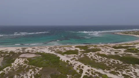 Athletes practicing kitesurfing on Boca Grande beach in Aruba Stock-Footage 311423109