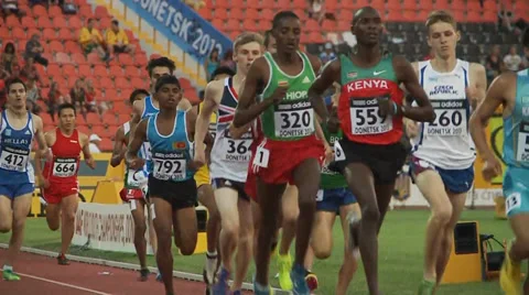 Athletes run at the stadium Stock Footage 33796033