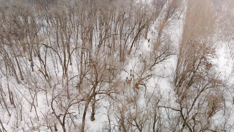 Athletes run in winter in Baum Park Stock Footage 122197897