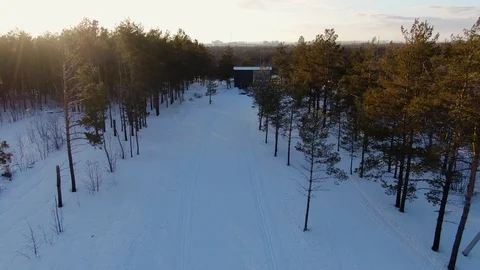 Athletes skiers train on the ski base in the forest Stock Footage 124626139