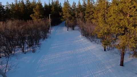 Athletes skiers train on the ski base in the forest Stock Footage 124626176