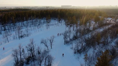 Athletes skiers train on the ski base in the forest Vídeo Stock 124629714