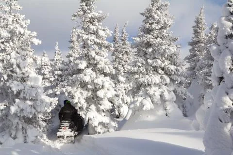 Athletes on a snowmobile Stock Photos