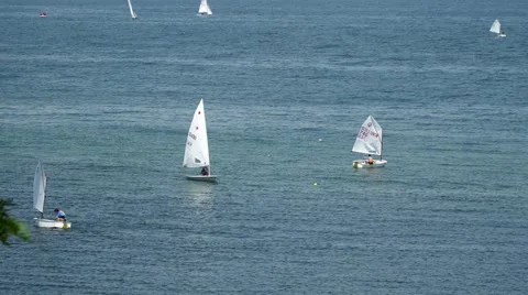 Athletes train control sailing boats Stock Footage 65366752