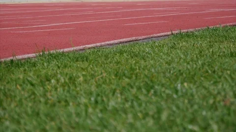 Athletes Train on Running Tracks Stock Footage 71153144
