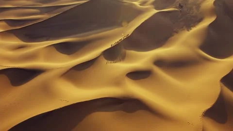 Athletes training in the desert Stock Footage 235107364