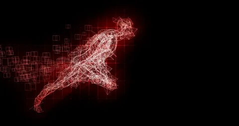 Athletic Conditioning and Body Development as Concept Stock Footage 85552035