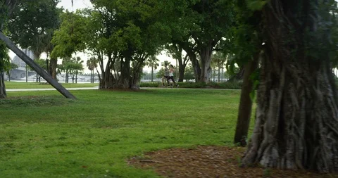 Athletic couple jogging in a park Stock Footage 97253690