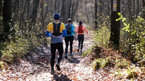 Athletic couple running together in the forest Stock Footage 143872809