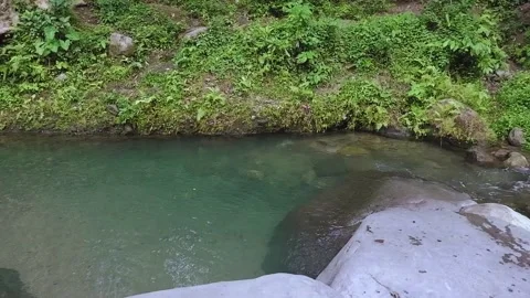 An athletic man jumps into the river. Video stock 137687260