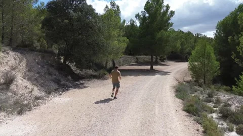 Athletic man running along a forest road in summer Stock Footage 291268940