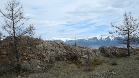 Athletic man trail running on hillside. Jogging outside. Outdoor Fitness concept Stock Footage 103107697