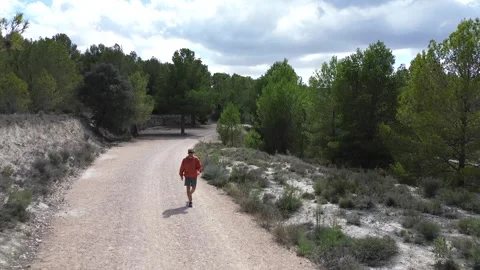 Athletic man walking along dirt road in forest, drone footage Stock Footage 286706985