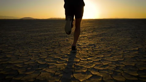 Athletic man working out with battle ropes on a dry lake at sunset Vídeo Stock 219885341