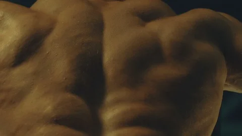 Athletic men pumping up back muscles workout fitness and bodybuilding Stock Footage 118774652