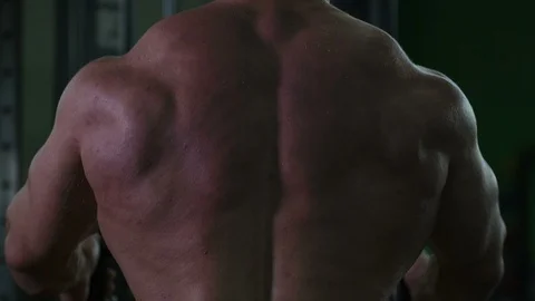 Athletic men pumping up back muscles workout fitness and bodybuilding Video stock 118774693