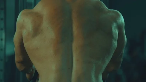 Athletic men pumping up back muscles workout fitness and bodybuilding Video stock 118775389