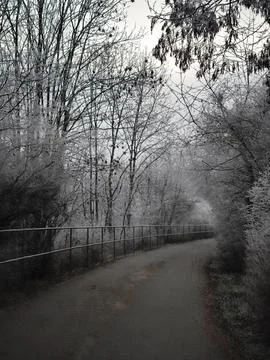 Athletic track Winding path through frosty winter trees in prague Stock Photos