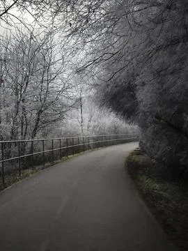 Athletic track Winding paved path through frosty trees in prague Stock Photos
