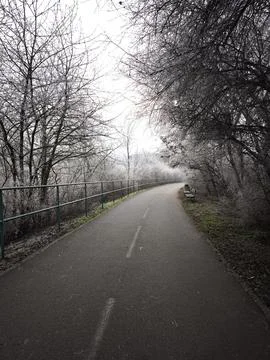 Athletic track Winding paved path through frosty trees in prague, czechia Stock Photos
