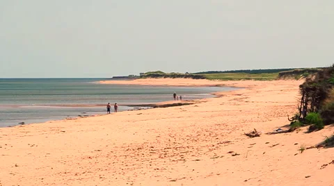 Atlantic beach in nova scotia Stock Footage 54914038