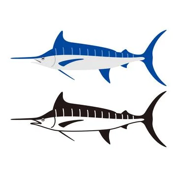 Atlantic blue marlin fish, vector illustration Stock Illustration